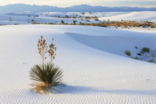 Сайт кракен kraken