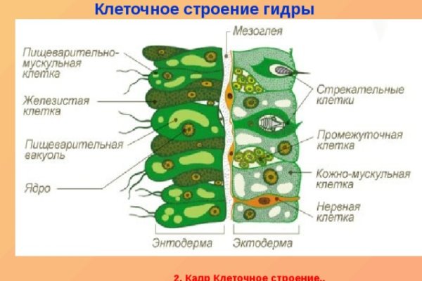 Кракен это современный даркнет маркетплейс