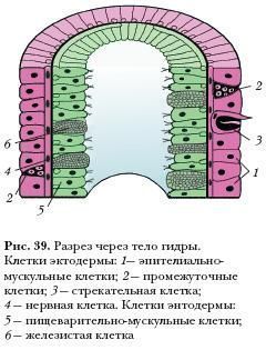 Новая ссылка на кракен