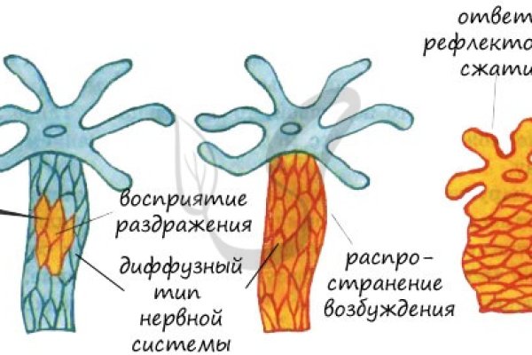 Кракен сайт 1kraken me официальный